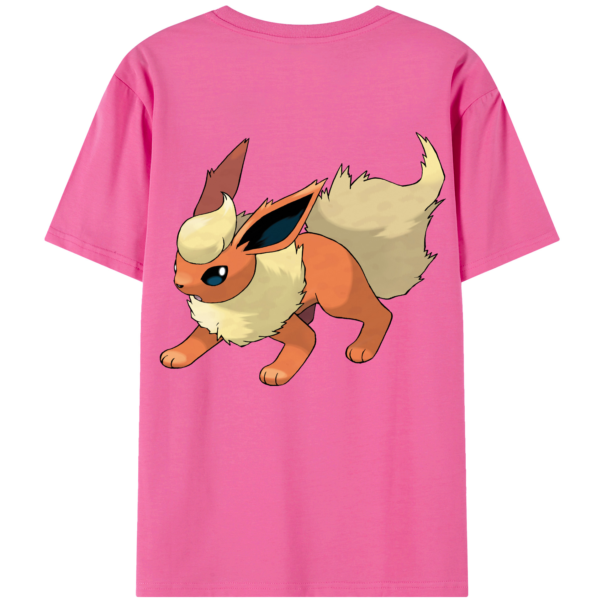 （画像用） ポケットモンスター Pokémon レディース半袖Tシャツ(バックプリント)